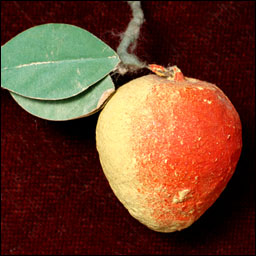 Antique Christmas ornament - cotton APPLE
