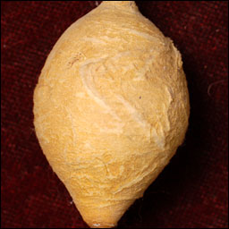 Antique Christmas ornament - cotton LEMON