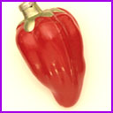 Vintage Christmas glass ornament RED PEPPER
