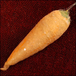 Antique German? Christmas ornament - cotton CARROT
