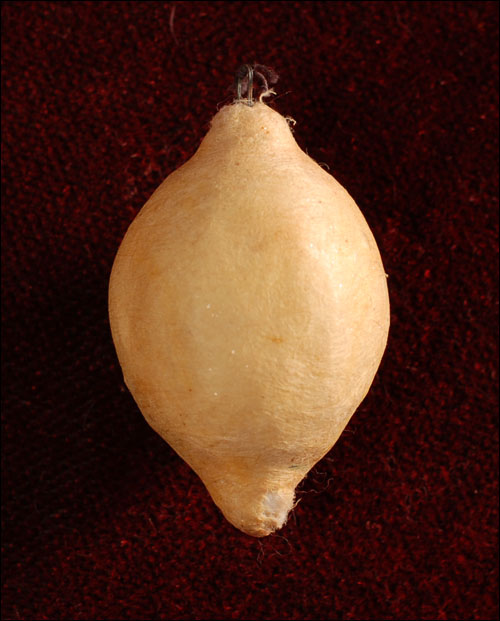 Antique Christmas ornament - cotton LEMON