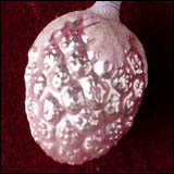 Antique German Christmas ornament BERRIES