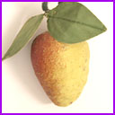 Antique Cotton Christmas ornament APPLE