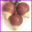 Antique Cotton Christmas ornament RADISH