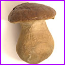 Antique Cotton Christmas ornament MUSHROOM