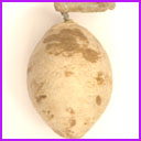 Antique Cotton Christmas ornament LEMON