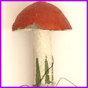 Antique Cotton Christmas ornament MUSHROOM