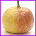 Antique Cotton Christmas ornament APPLE