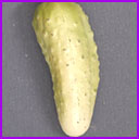 Vintage Christmas ornament PICKLE
