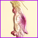 Old Dresden Christmas ornament PARROT