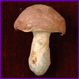 Antique Christmas cotton ornament MUSHROOM