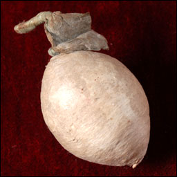 Antique cotton Christmas ornament Lemon