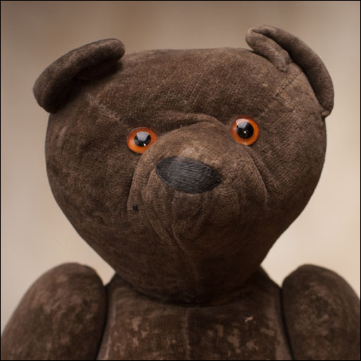 ���������� ����� Teddy 1900-� ���� 