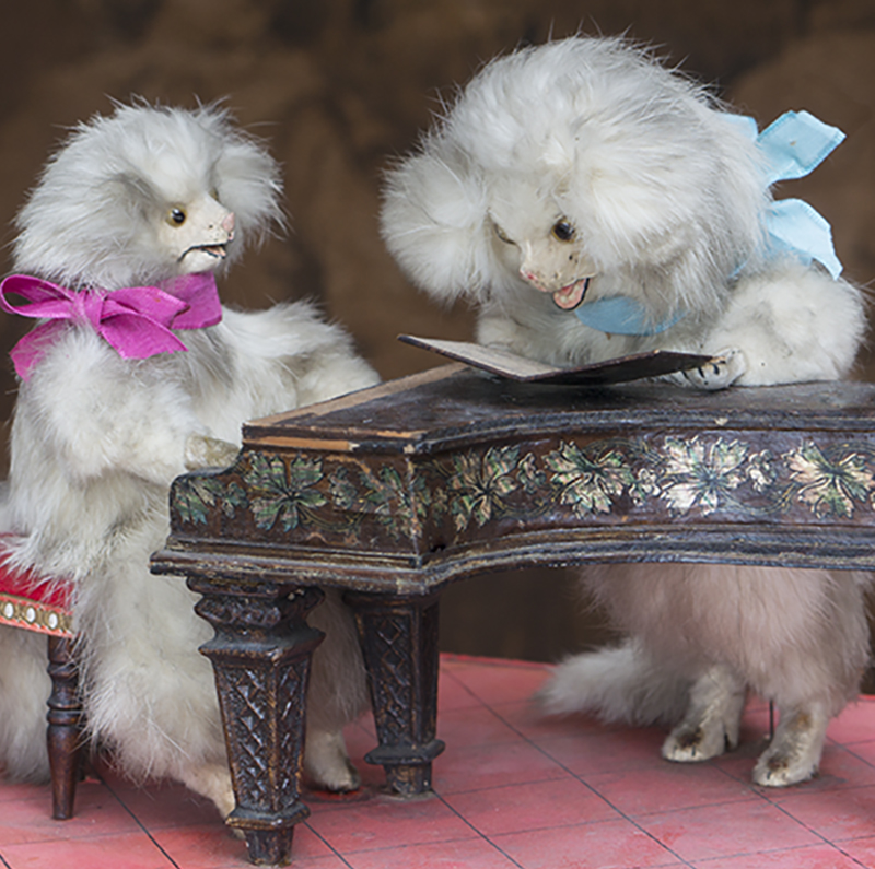 Automaton with two poodles