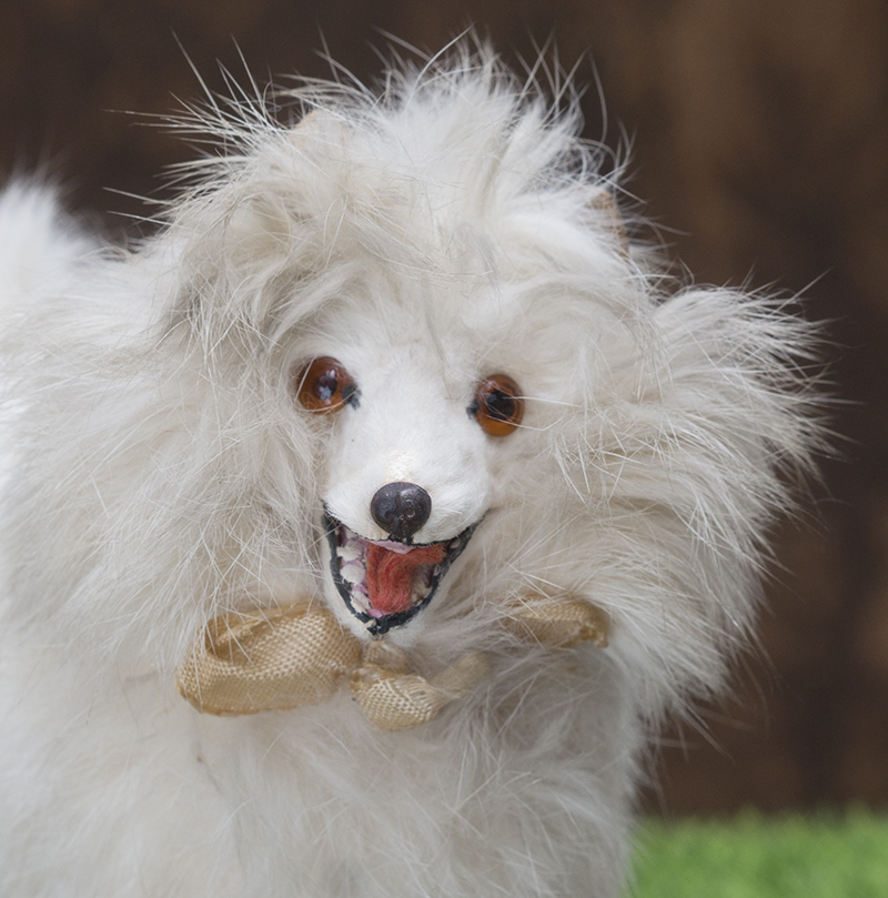 Antique German Salon Dog 